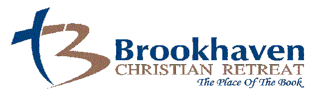 transparent final Paimt